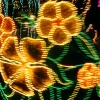 SAMSUNG DIGITAL CAMERA