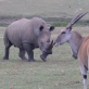 Garden Route Game Lodge