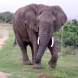 South Africa - November 2008