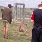 Garden Route Game Lodge