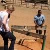Ostrich Farm
