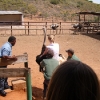Ostrich Farm