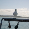 Gans Bay