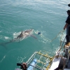 Gans Bay