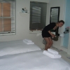 Daddy Long Legs