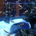 Two Oceans Aquarium